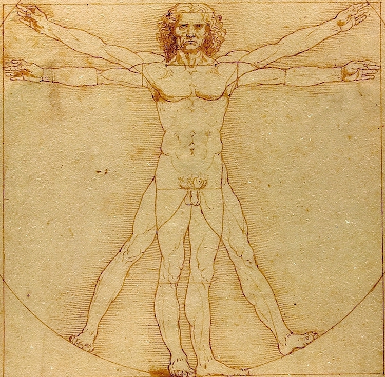Leonardo da Vinci's Vitruvian Man